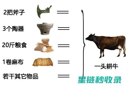 探索以物易物——用实物交换创造价值的新模式 (探索以物易物的例子)