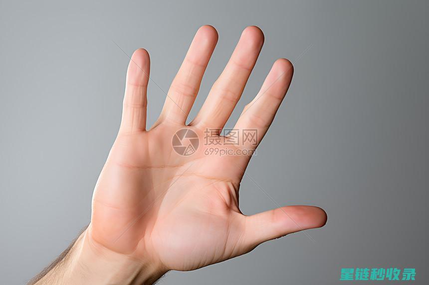 深度解读：掌握高效阅读方法的秘密武器 (掌shao)